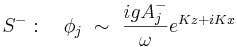 S^-: \quad \phi_j \ \sim \ \frac{igA_j^-}{\omega} e^{Kz+iKx} \,