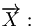  \overrightarrow{X}: 