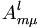 A_{m\mu}^l