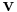 \mathbf{v}
