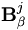 \mathbf{B}^j_\beta