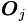 \boldsymbol{O}_j 