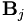 \mathbf{B}_j