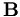 \mathbf{B}