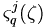 \varsigma_q^j(\mathbf{\zeta})