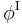 \phi^{\mathrm{I}}\,