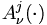 A_{\nu}^j (\cdot)