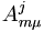 A_{m \mu}^j