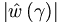 \left|
\hat{w}\left(  \gamma\right)  \right|  