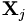 \mathbf{X}_j\,