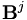 {\mathbf B}^j