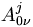 A_{0 \nu}^j