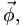 \vec{\phi},