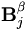 \mathbf{B}_j^\beta