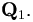 \mathbf{Q}_{1}.