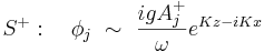 S^+: \quad \phi_j \ \sim \ \frac{igA_j^+}{\omega} e^{Kz-iKx} \,