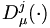 D_{\mu}^j (\cdot)