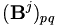 ({\mathbf B}^j)_{pq}