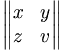 \begin{Vmatrix} x & y \\ z & v
\end{Vmatrix}