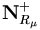{\mathbf N}^{+}_{R_\mu}