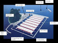 Thumbnail for version as of 05:49, 23 May 2006